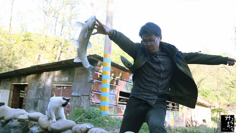 【野居青年】给锦鲤修个鱼池,给草鱼撒点调料